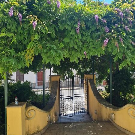 Il Nido Di Sven Διαμέρισμα Casarza Ligure Εξωτερικό φωτογραφία